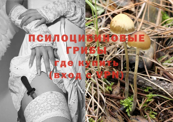 меф Алзамай