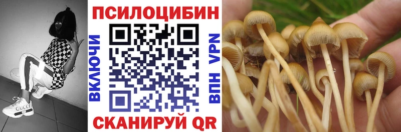Псилоцибиновые грибы Psilocybe  Кулебаки 